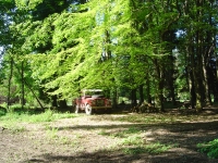 2012-05-26 011